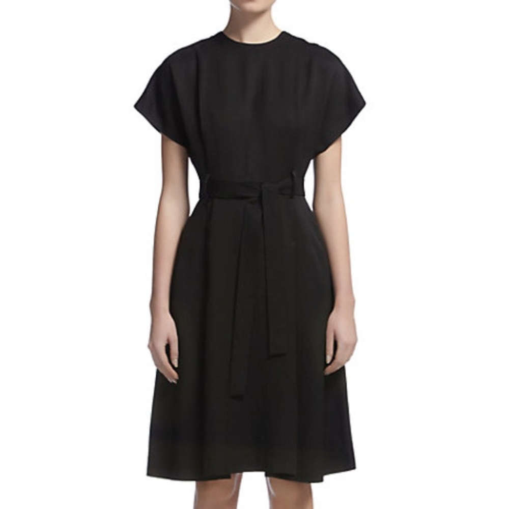 NWOT Whistles Tie Waist Dress